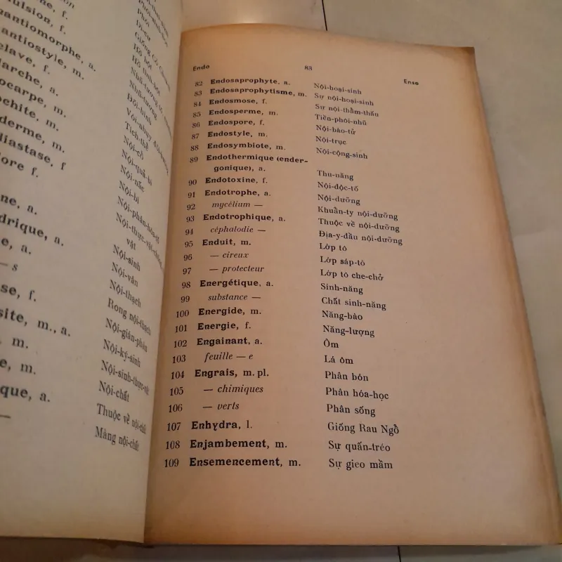 DANH TỪ THỰC VẬT PHÁP VIỆT 749070