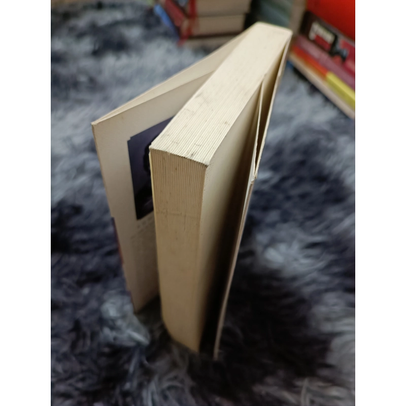Lời hứa lúc bình minh (Romain Gary) 535002