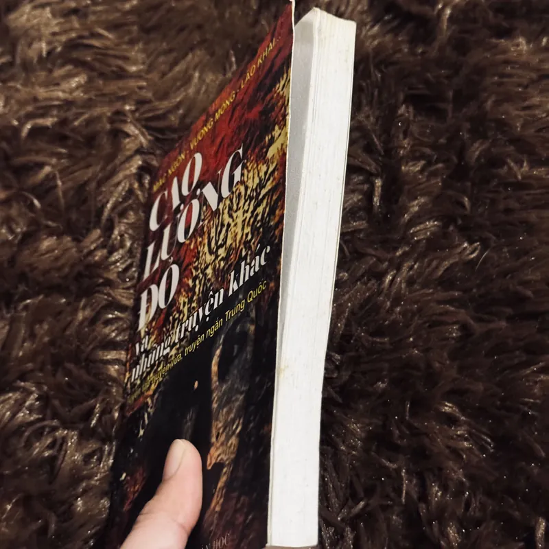 Cao lương đỏ.... 719486