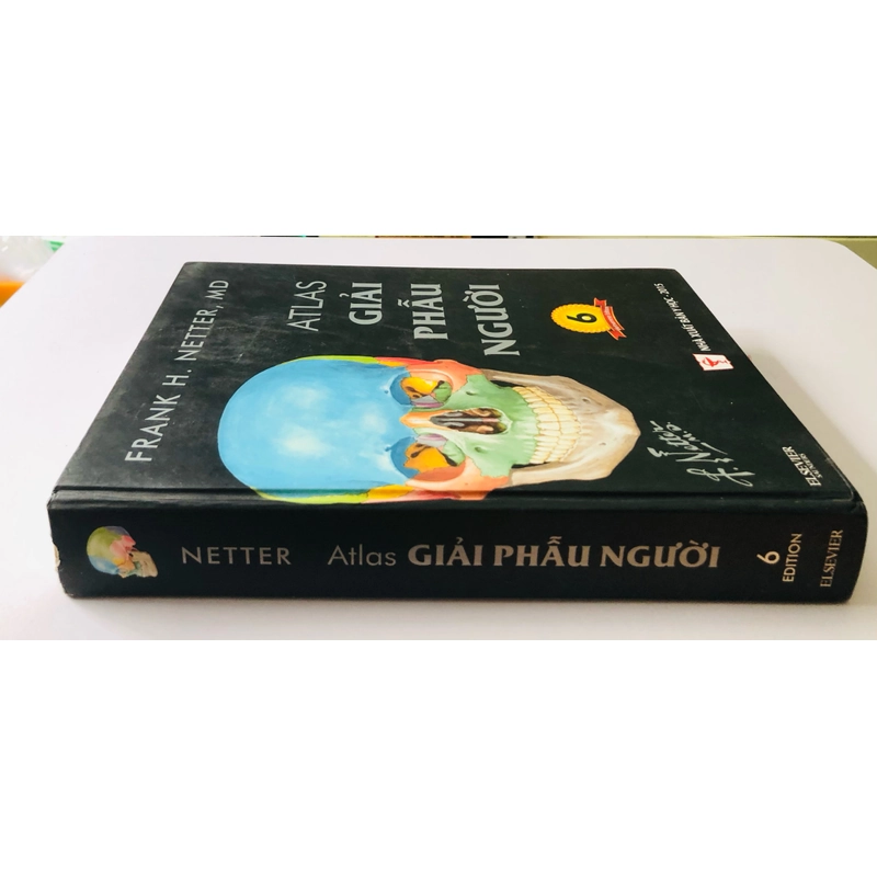 ALAS GIẢI PHẪU NGƯỜI 6 455852