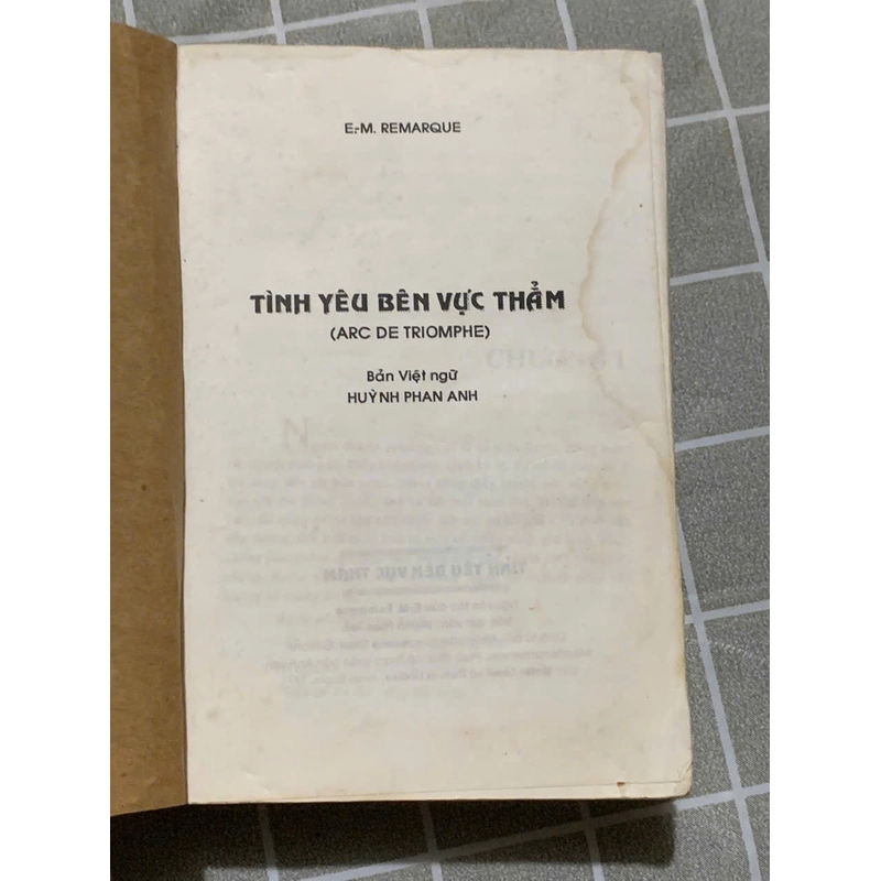TÌNH YÊU BÊN VỰC THẲM - Erich Maria Remarque 543760