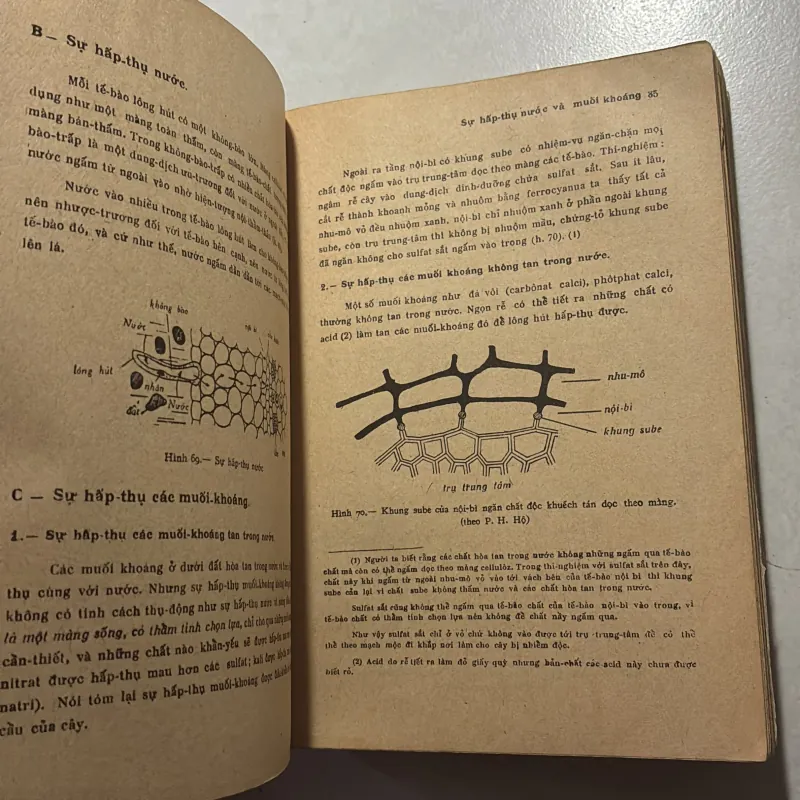 Vạn vật học (sách trước 75) 745375