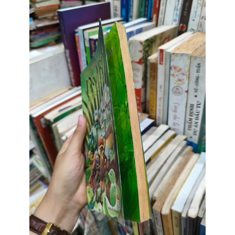 Dế mèn phiêu lưu ký 🌱 475155