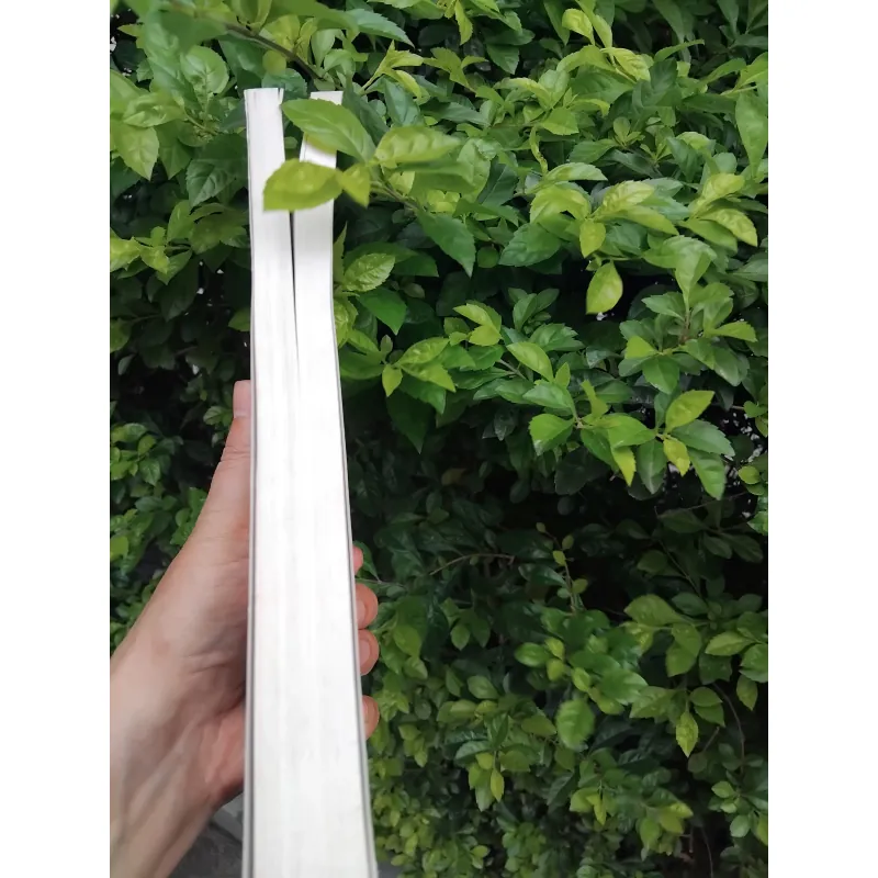 Kim thiếp vũ môn tiểu thuyết lịch sử của Trần Gia Ninh  992853