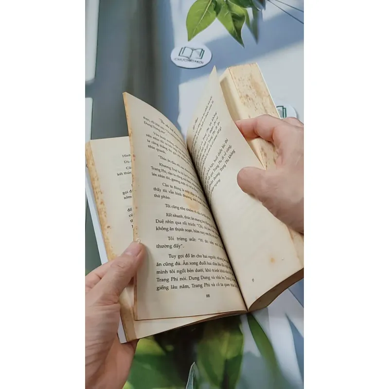 Tôi Như Ánh Dương Rạng Rỡ - Cố Mạn 744697