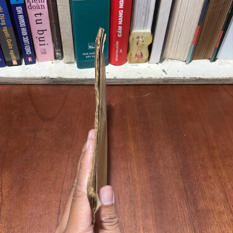 II Sách Huyền Học: Giáp Tuất (1994) _ Tam Tông Miếu - Tháng Hạp Ngày Tốt Xấu Tuổi Sao Hạn 783184