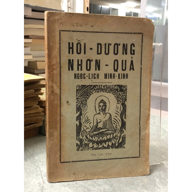 HỒI DƯƠNG NHƠN QUẢ 477876