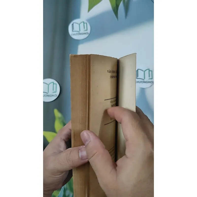 Chinh Phụ Ngâm Khúc - Tác Phẩm Văn Học Dành Cho Học Sinh Tham Khảo - Đặng Trần Côn - Đoàn Thị Điểm 798329