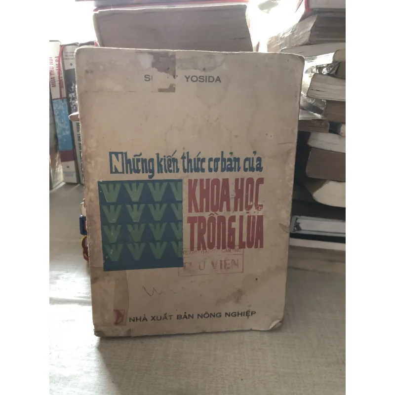 Những kiến thức cơ bản của khoa học trồng lúa 975867