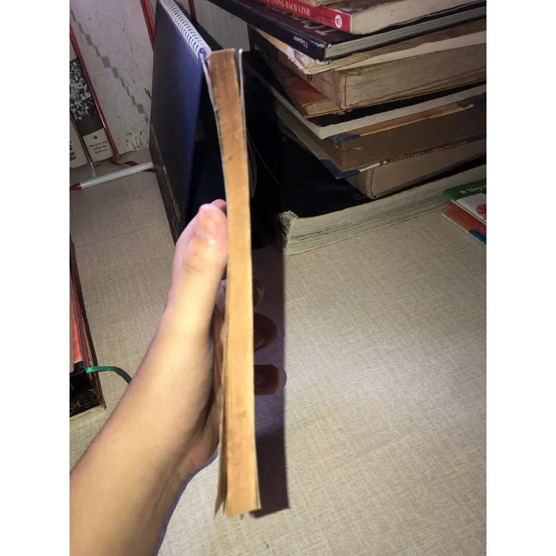 Nam Cao Vũ Trọng Phụng-Phó Tiến Sĩ Hồ Sĩ Hiệp 956897