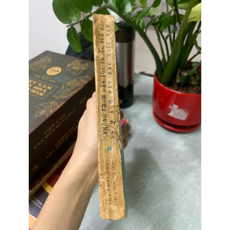 NHỮNG NHÓM DÂN TỘC THUỘC NGỮ HỆ NAM Á Ở TÂY BẮC VIỆT NAM 273831