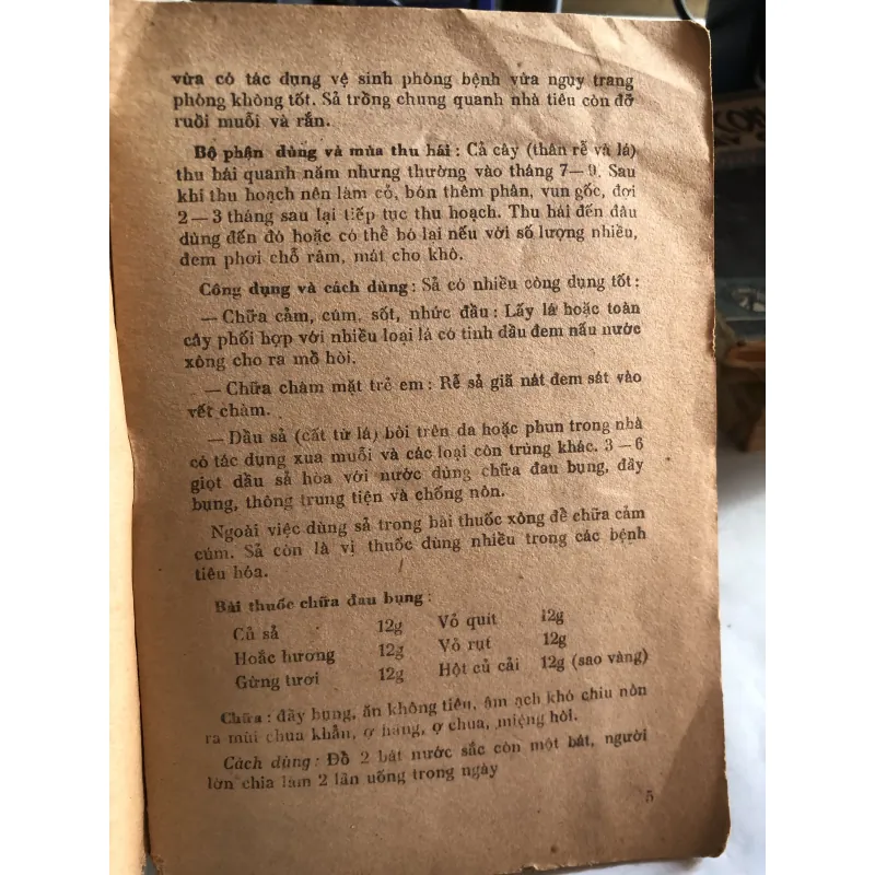 Cây thuốc gia đình - Đỗ Huy Bích  1010155