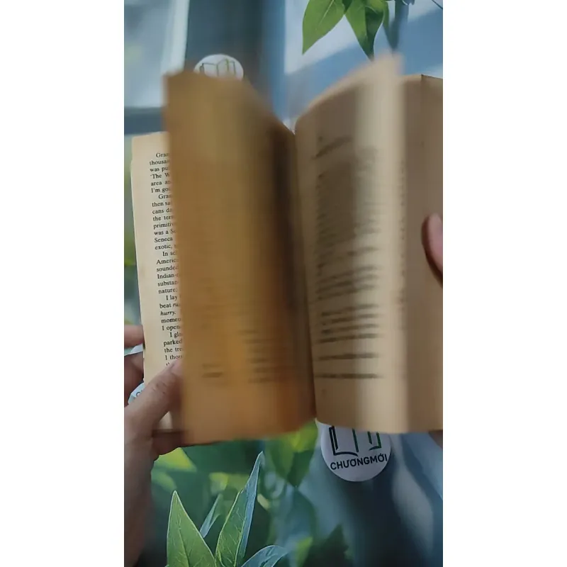 [XƯA] Walk Two Moons (1994) - Sharon Creech 1027573