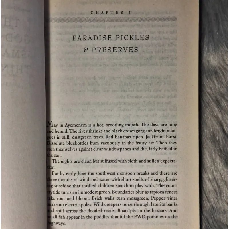 Arundhati Roy - The God of Small Things 780079