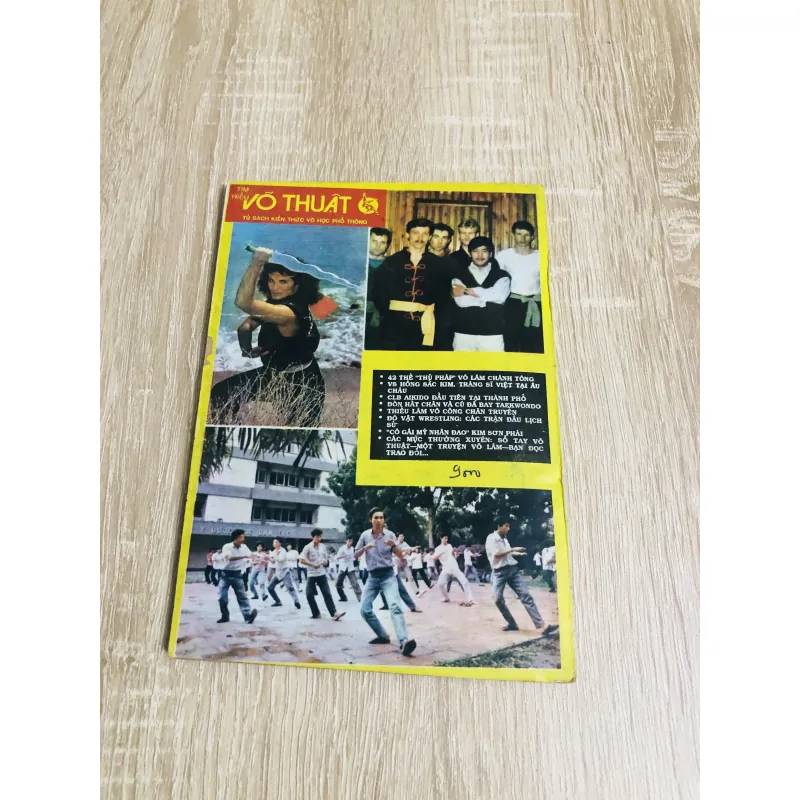 TÌM HIỂU VÕ THUẬT VIỆT VÕ ĐẠO 531169