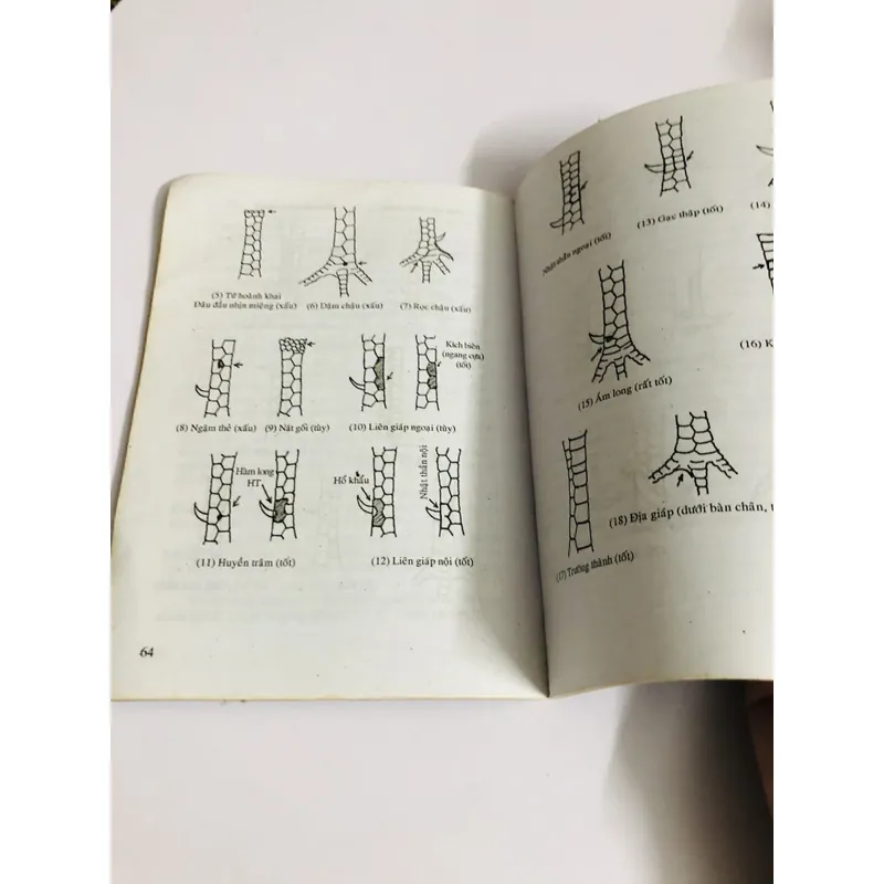 BÍ QUYẾT CHỌN VÀ NUÔI GÀ ĐÁ  726857