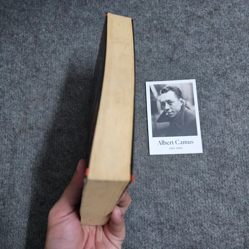 Lời nguyền lỗ ban tập 1 974594