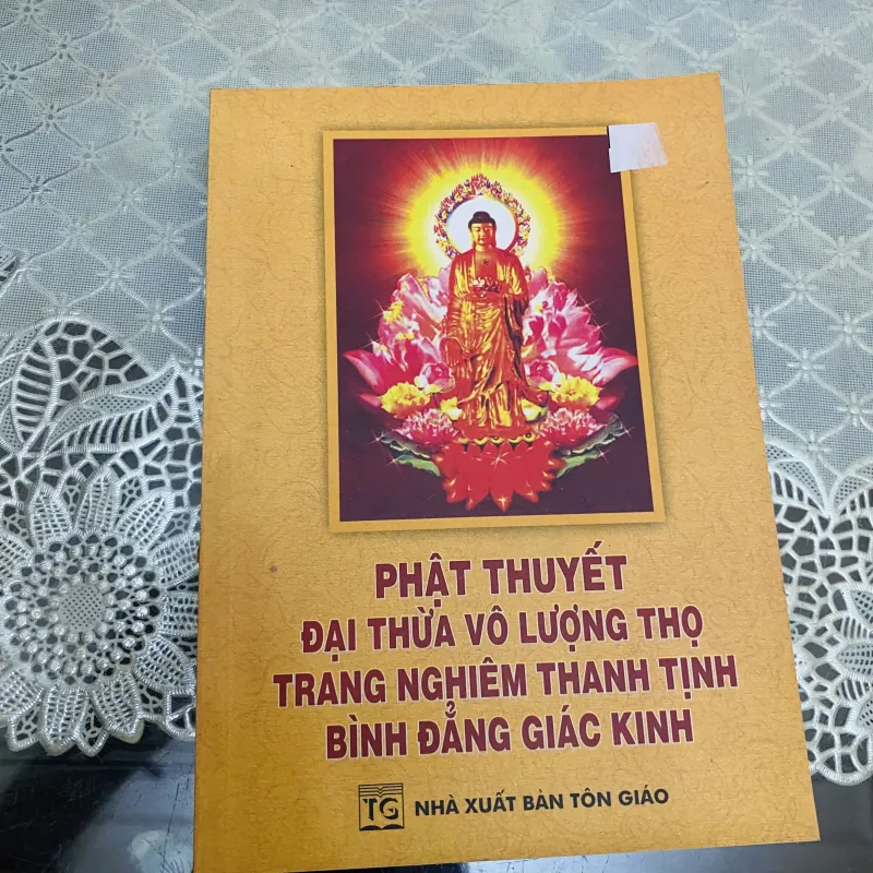 Phật Thuyết đại thừa vô lượng thọ 1004025
