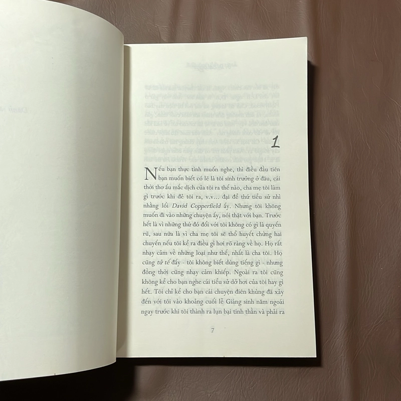 II Văn Học Nước Ngoài: Bắt Trẻ Đồng Xanh - J.D. Salinger - 2019 523194