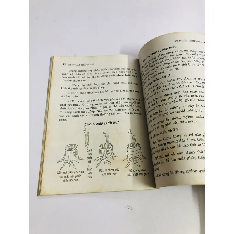 KỸ THUẬT TRỒNG MAI  595082