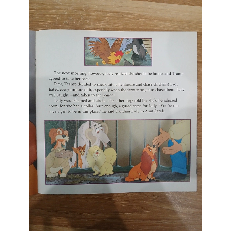 Disney: Lady and the Tramp - Published by Bendon 543909