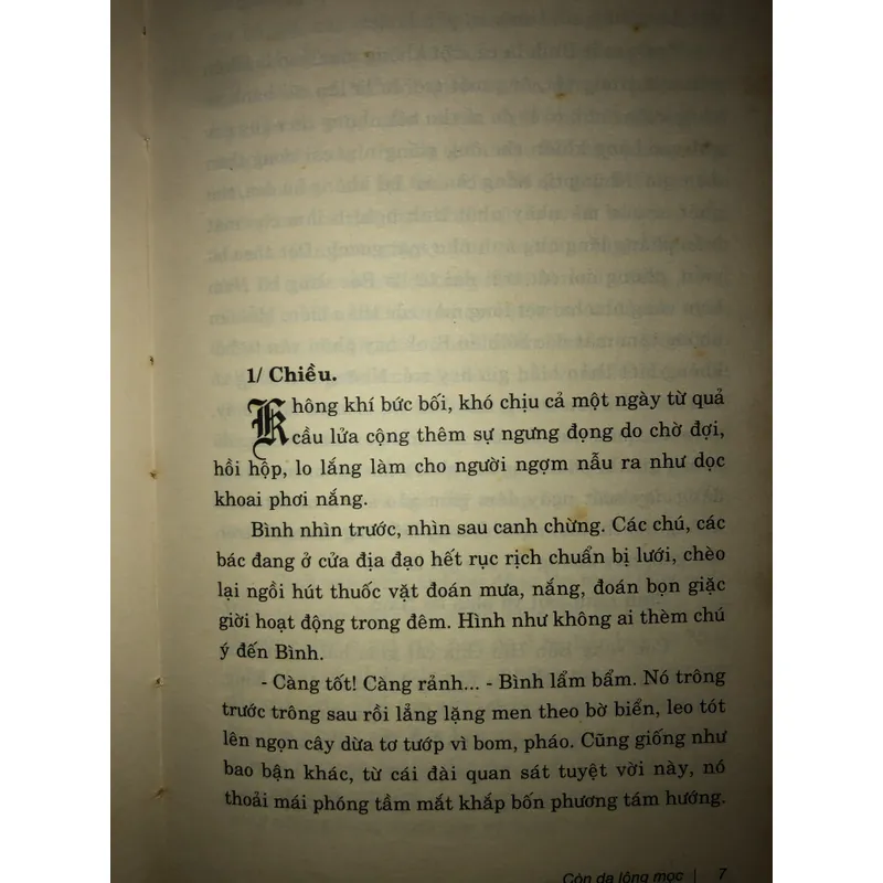 Còn da lông mọc 658172