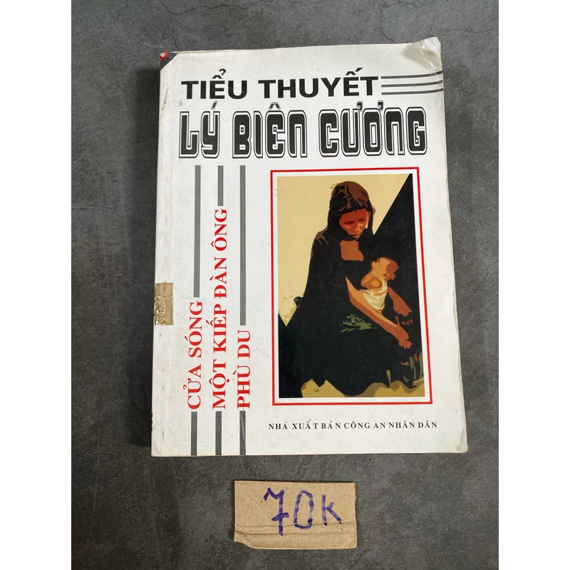 Tiểu thuyết lý biên cương 521099