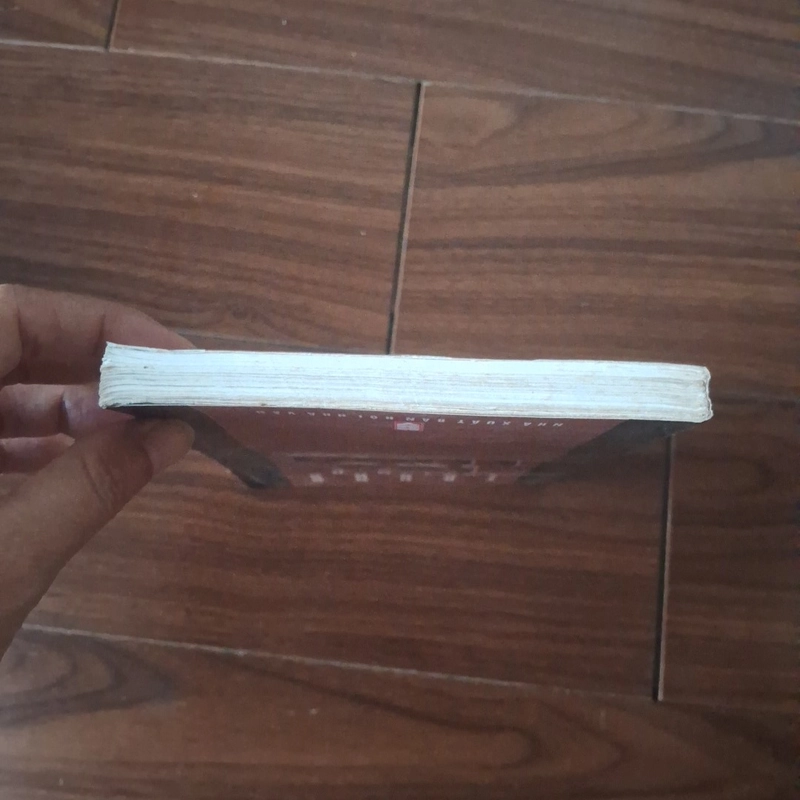 Lạc rừng - trung trung đỉnh 523200