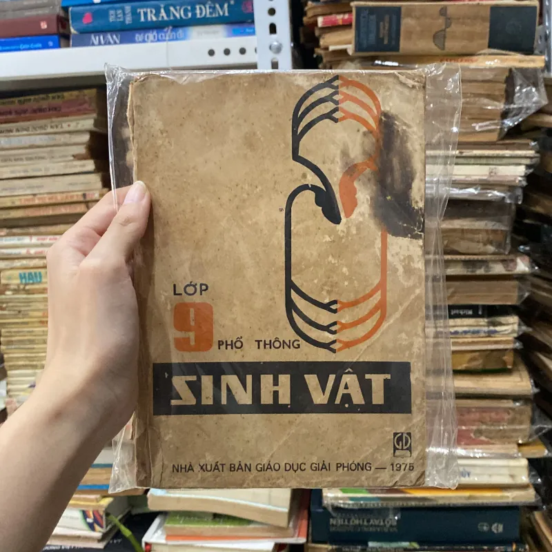 Sinh Vật Lớp 9♟️ 998344