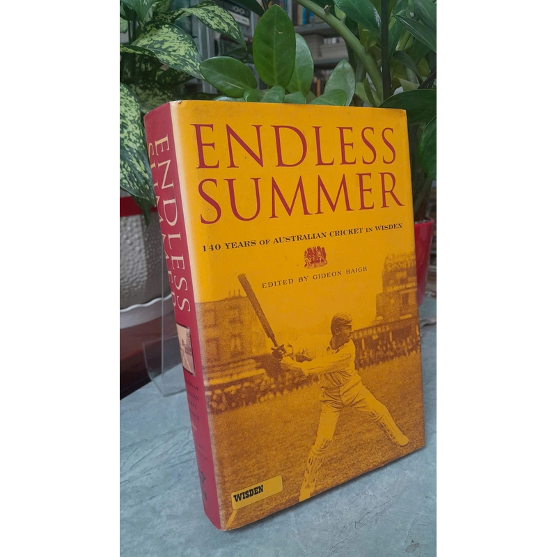 ENDLESS SUMMER 388017