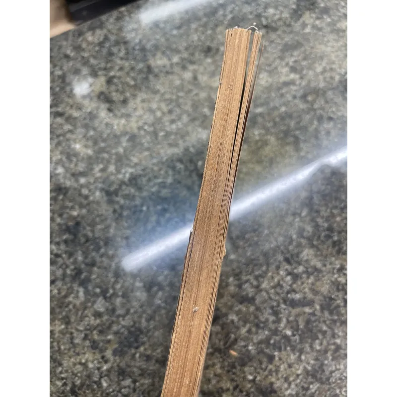 Con chim trốn tuyết Paul Gallico XB 1986 763293