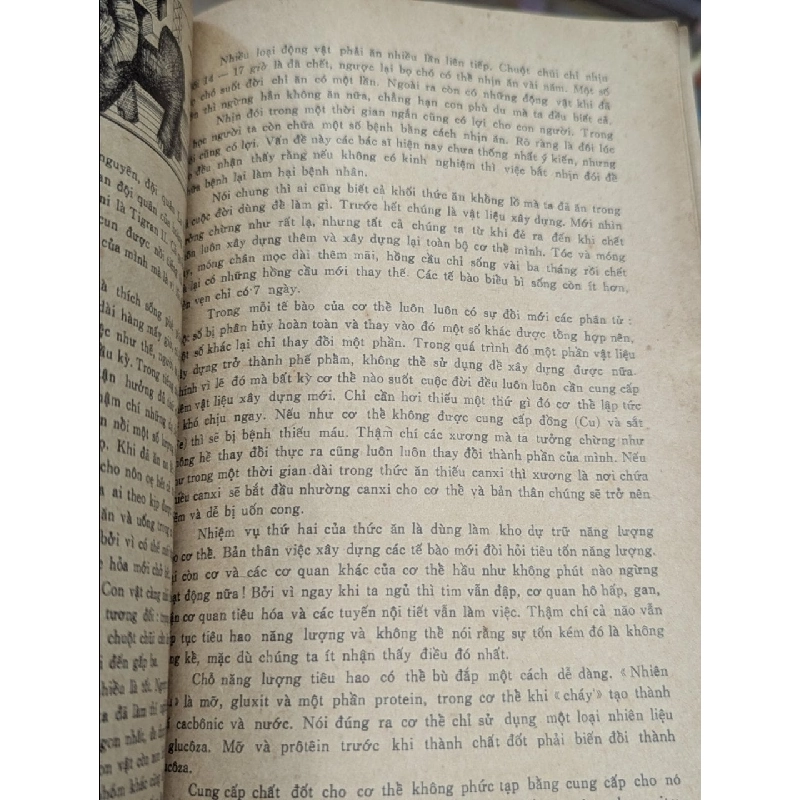 Sinh lý học giải trí - B. Xergeev 176956