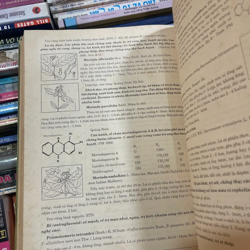 CÂY CÓ VỊ THUỐC Ở VIỆT NAM - PHẠM HOÀNG HỘ  1031526