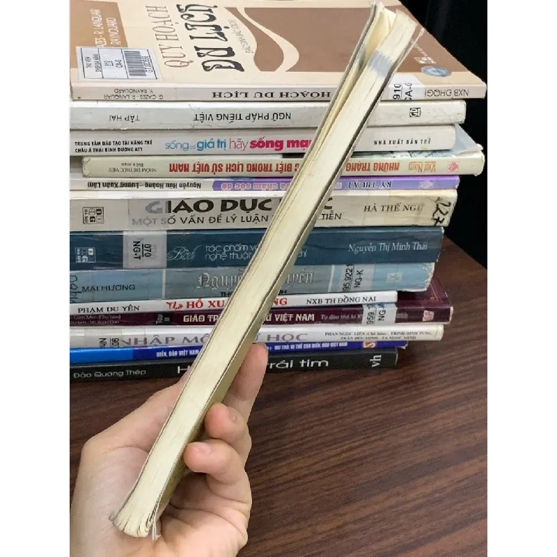 Tết nhớ người ở xa – Hoàng Việt Thắng 589415