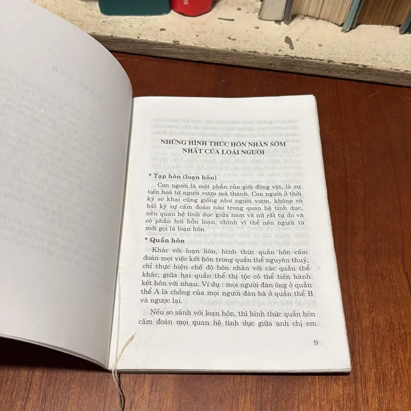 II Văn Hoá Việt: Tục Cưới Hỏi Ở Việt Nam - Bùi Xuân Mỹ, Phạm Minh Thảo - 2004 780158