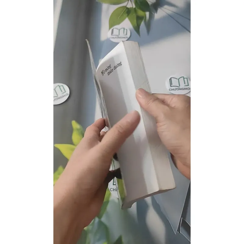 Vỡ Mộng Thiên Đường - Người Việt tha phương trên đất  Mỹ - Anh Thư 928493