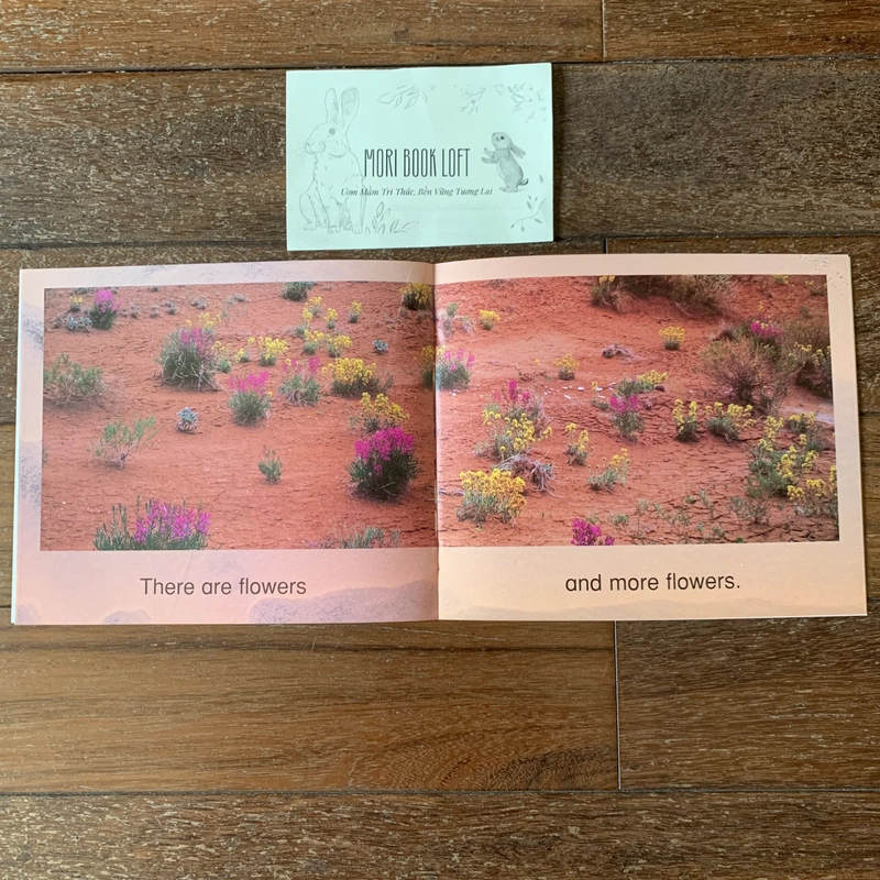 Combo 3c tập đọc Science Emergent Readers: Coral Reef; Desert; Nests, Nests, Nests, Used 477815