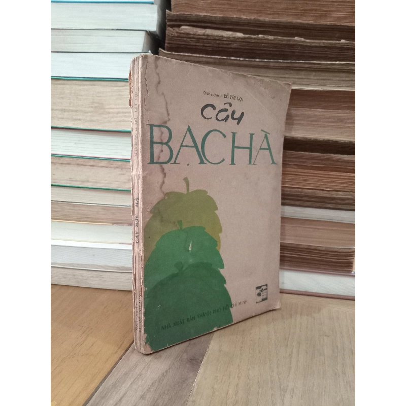 CÂY BẠC HÀ - ĐỖ TẤT LỢI 165502