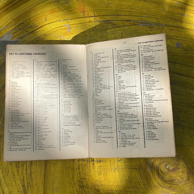 ENGLISH GRAMMAR IN USE NGỮ PHÁP TIẾNG ANH THỰC HÀNH 136 ĐỀ MỤC NGỮ PHÁP  736793