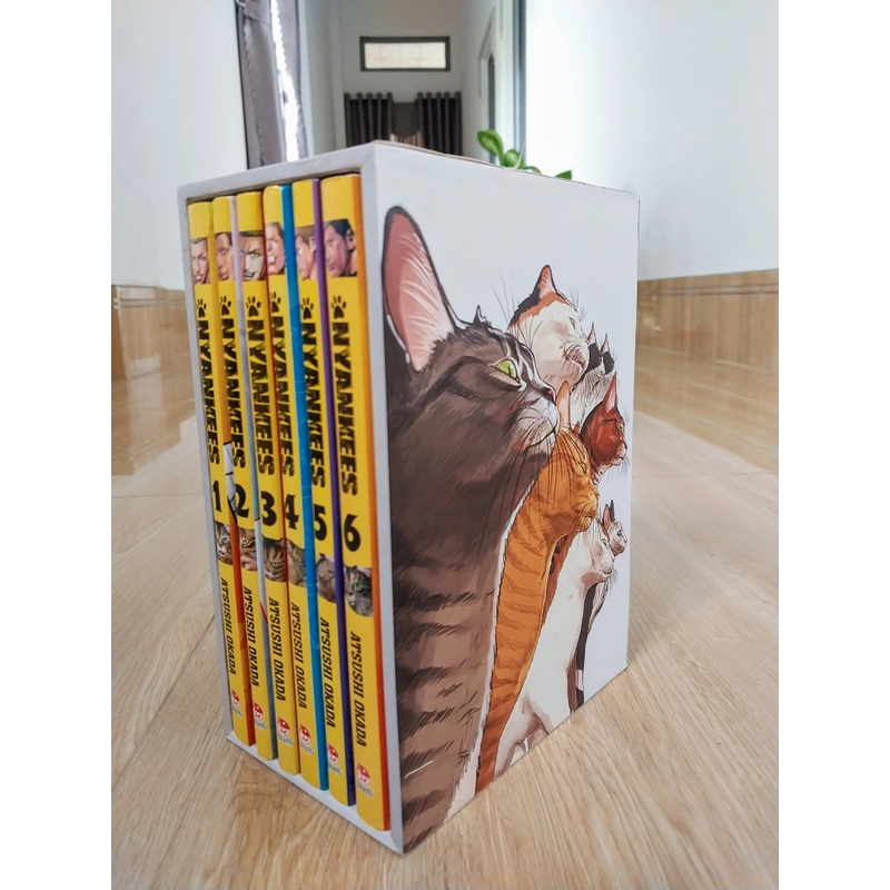 BOXSET NYANKEES - BẦY MÈO BẤT HẢO 333380