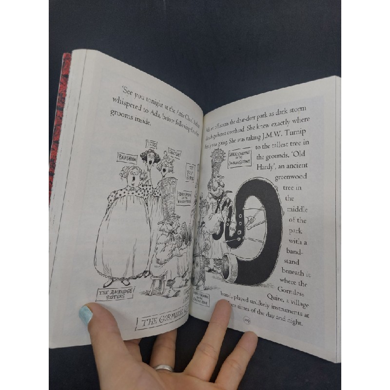 Goth Girl and the Fete Worse than death mới 80% Chris Riddell 2017 HCM2806 Oreka-Blogmeo 35418
