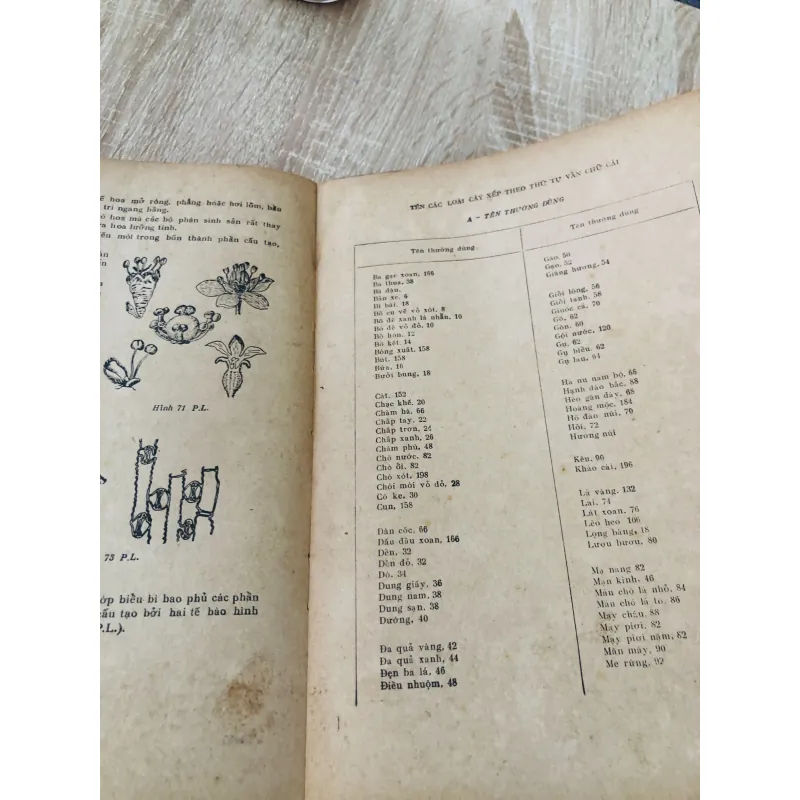 CÂY GỖ RỪNG VIỆT NAM ( tập 2,4,5,6) 956969