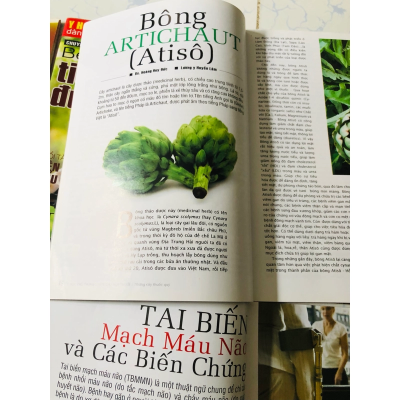 2. LÔ BÁO Y HỌC PHỔ THÔNG  541727