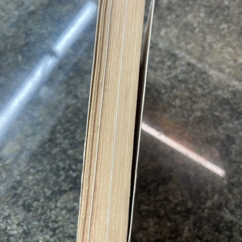 Lên đồng Ngô Đức Thịnh song ngữ 680839