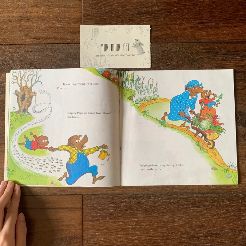 Sách ngoại văn The Berenstain Bears' New Baby, Used 498056