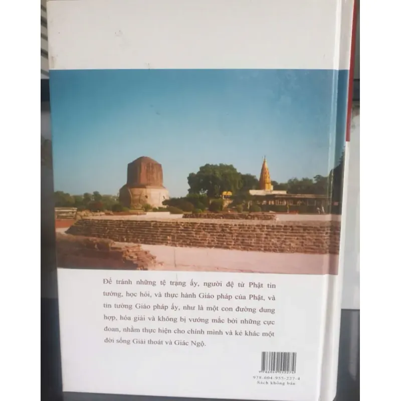 Niềm Tin Bất Hoại Đối Với Chánh Pháp - Thích Thái Hòa 712217