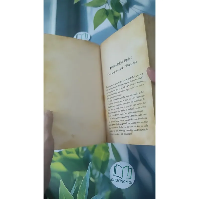 The Curious Charms of Arthur Pepper - Phaedra Patrick 1033618