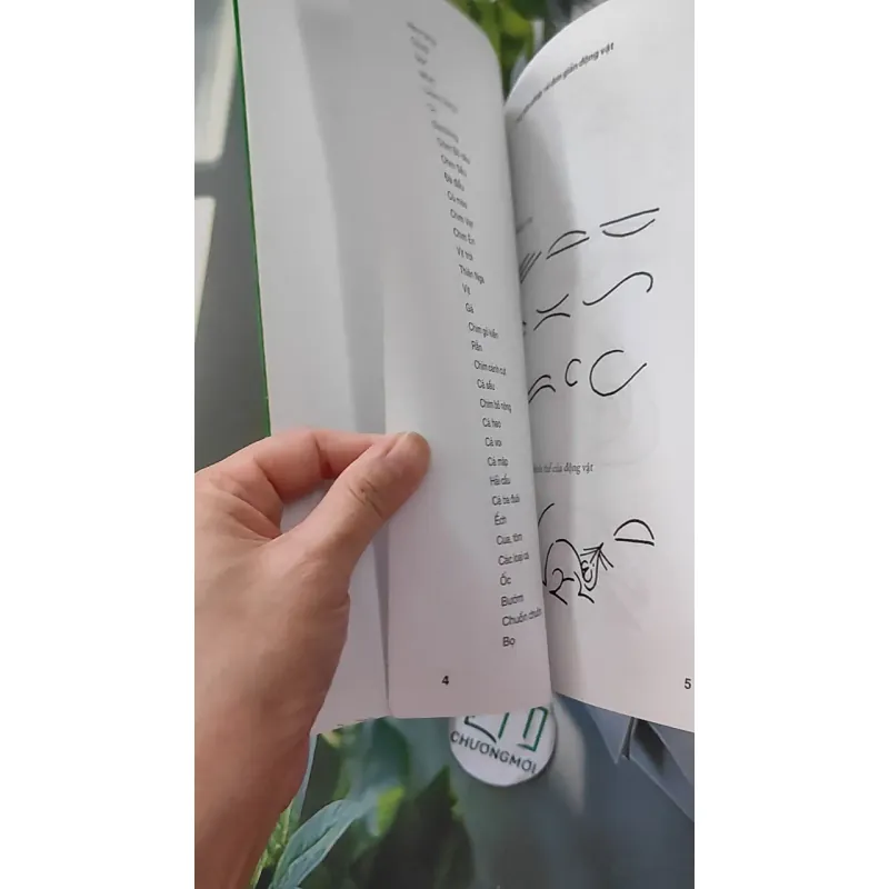 Phương pháp vẽ đơn giản động vật 1018809