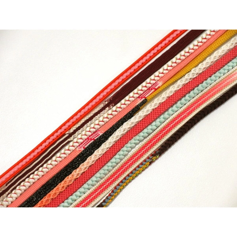 Bộ 10 dây đai - Hàng hiệu Authentic 878466