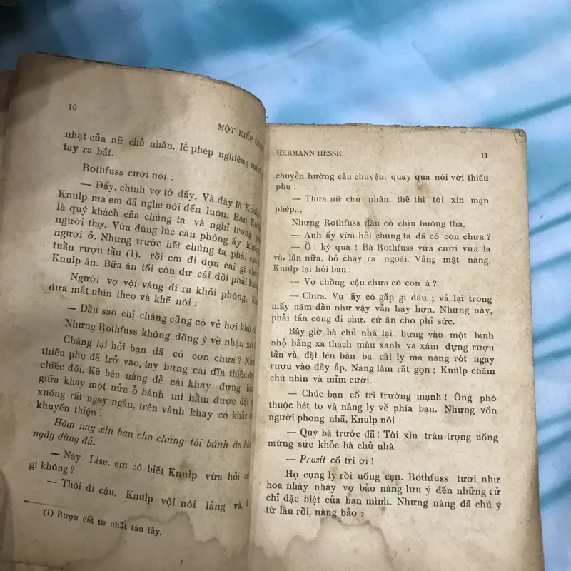 Một kiếp giang hồ - Hermann Hesse 591283